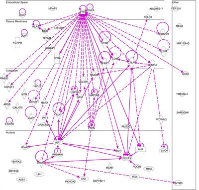 Epigenetic Regulation Mediated by Methylation in the Pathogenesis and Precision Medicine of Rheumatoid Arthritis